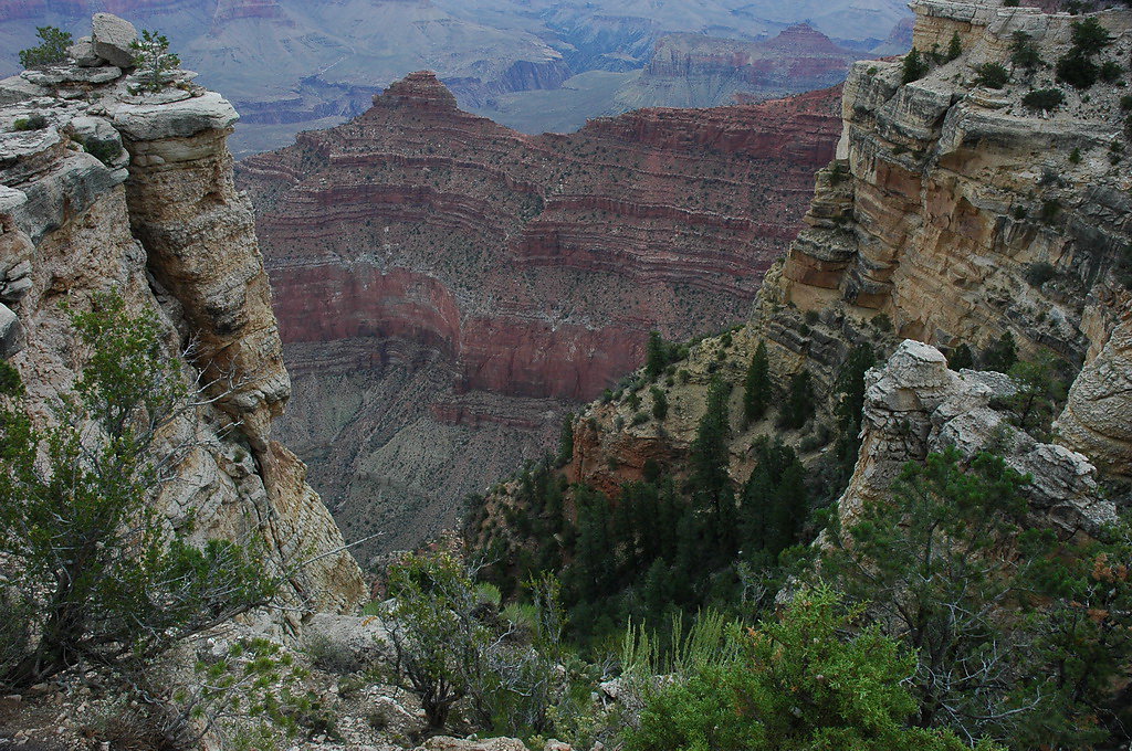 usa-2008-067.jpg