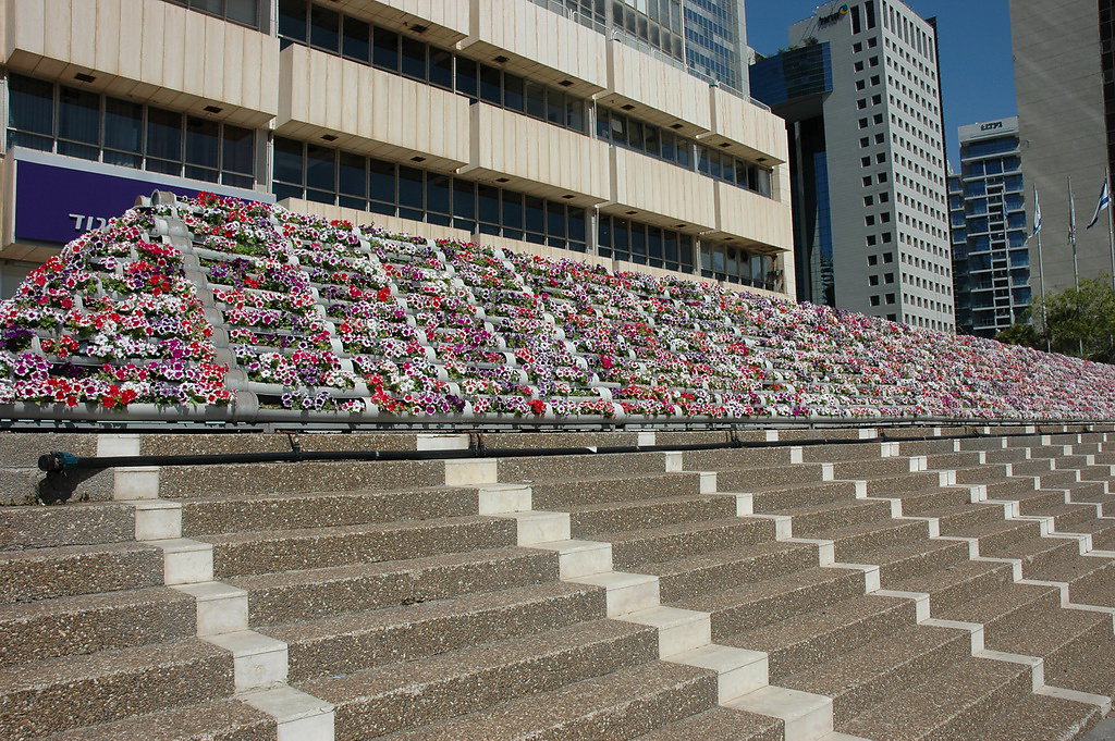 israel-2011-156.jpg