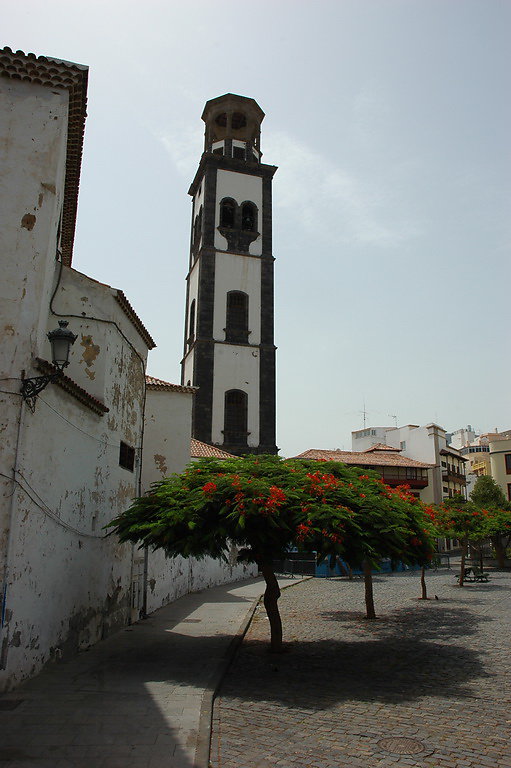 tenerife-2012-116.jpg