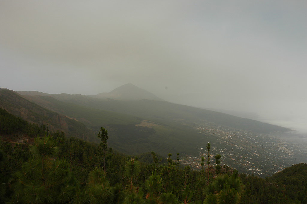 tenerife-2012-156.jpg